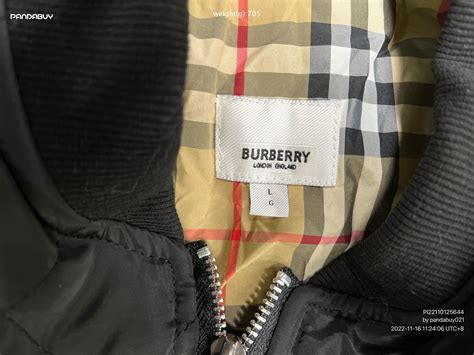 husky reps burberry